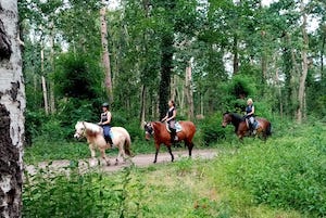 Ausritte in der Elbaue